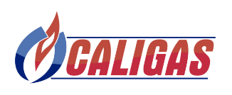 Logo Caligas